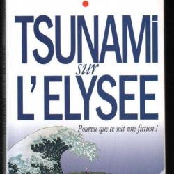tsunami sur l'élysée pourvu que ce soit une fiction! par  dominique ambiel et antoine rault