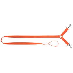 Laisse Nylon 1,30 m Country - Double Attache 2 Chiens - Haute Visibilité Orange Fluo