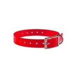 Collier pour Chien Country 2,5 cm - Polyuréthane Résistant - Confort et Durabilité Assurés Blanc