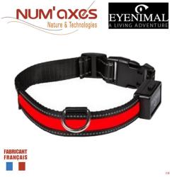 Collier Lumineux Rechargeable Eyenimal Light Collar USB Rouge - Sécurité Nocturne - Confort Ajustabl