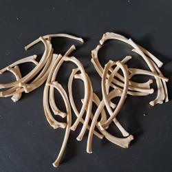 Lot de côtes ( pour 26 unités )