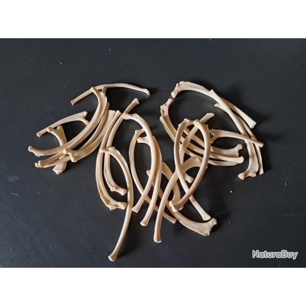 Lot de ctes ( pour 26 units )