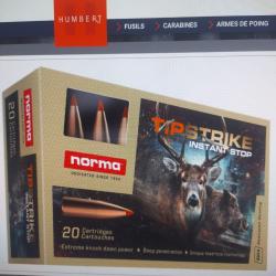 Boîte de 20 munitions norma tipstrike calibre 30-06 spring 11.0g 170gr