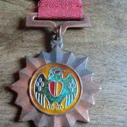 médaille émail armée kuomintang aigle partie nationaliste chine