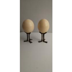 Pieds pour oeufs d'autruche