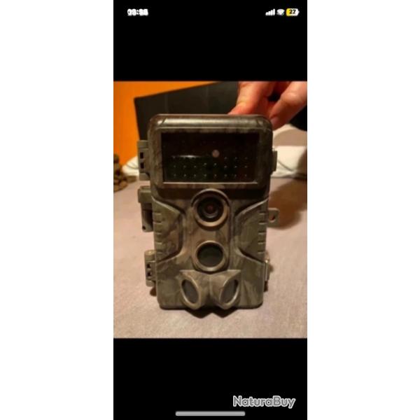 Camra pour observer la faune sauvage