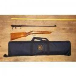 carabine de loisir démontable 22 lr