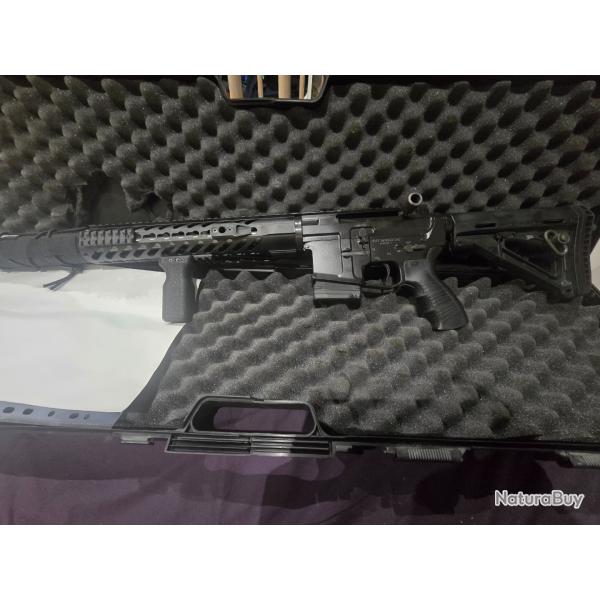 Carabine Ra15c rds 300blk