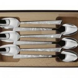 Coffret 6 cuillères de table Le Thiers par ROGER ORFEVRE 20cm Décor Natura tout inox