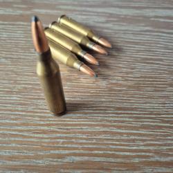 5 munitions de chasse calibre 243 win neutralisé