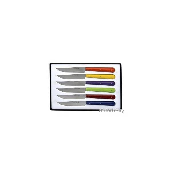 Coffret 6 couteaux table NONTRON, lame yatagan acier inox T12 satin, 21 cm, manche rond coloris