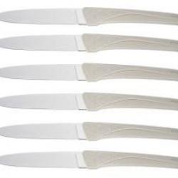 Boîte de 6 couteaux de table Florinox KIANA 23 cm lame acier X35Cr16N manche beige