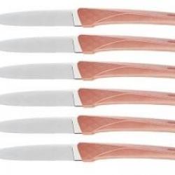 Boîte de 6 couteaux de table Florinox KIANA 23 cm lame acier X35Cr16N manche rouge terracotta