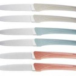 Boîte de 6 couteaux de table Florinox KIANA 23 cm lame acier X35Cr16N manche assortis