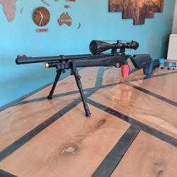 Stoeger XM1+lunette+bipieds