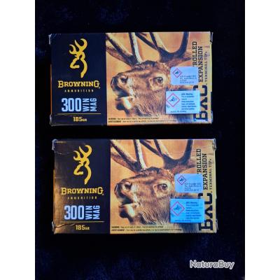 Balles BXC Big Game cal.300 win mag 185 gr main image 0
