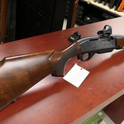 CARABINE REMINGTON 750+ point rouge nikko strrling  diamon Pro T  CAL 280 REM