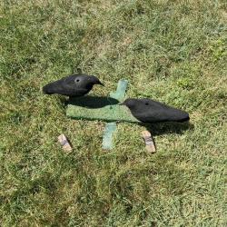 Leurre corvidés à animer