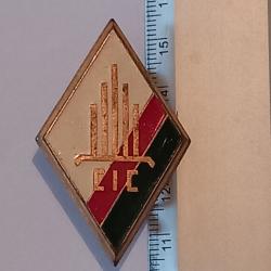 Insigne de la compagnie d'instruction des cadres (CIC) du 4ème régiment étranger (4ème RE)