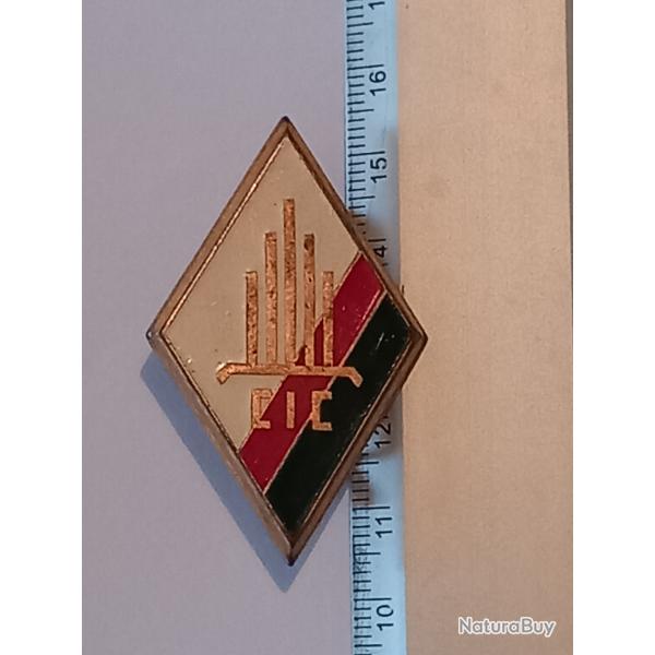 Insigne de la compagnie d'instruction des cadres (CIC) du 4me rgiment tranger (4me RE)