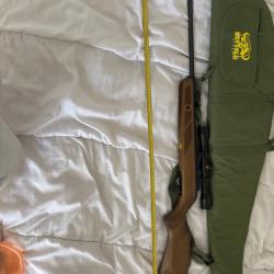 Carabine a plomb
