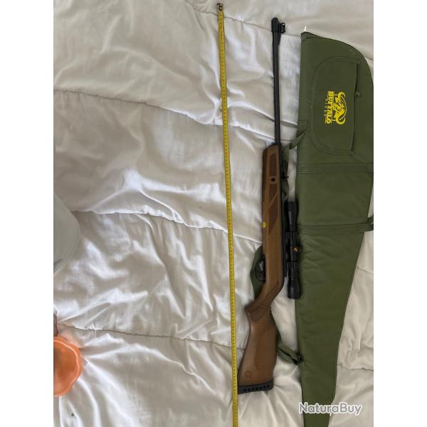 Carabine a plomb