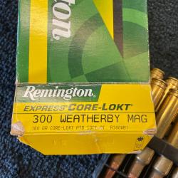 20 munitions remington 300 wheatherby