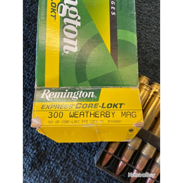 20 munitions remington 300 wheatherby