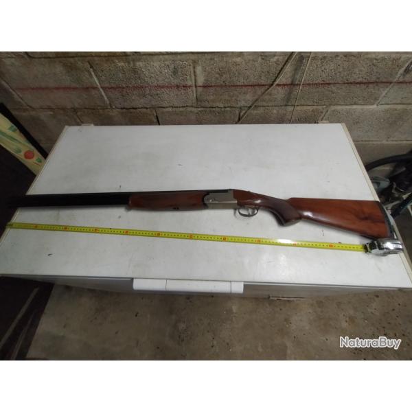 superpos RIZZINI BR110 light 12/76/71
