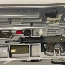 Ensemble SIG 551 SWAT LB