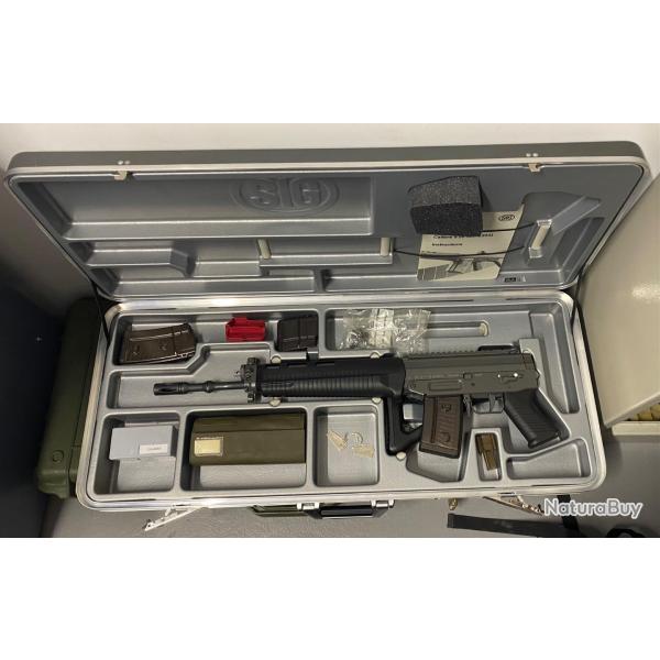 Ensemble SIG 551 SWAT LB