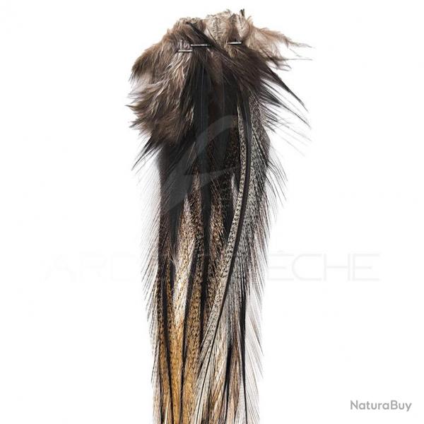 Plumes DEVAUX Lancette Pardo Fonc