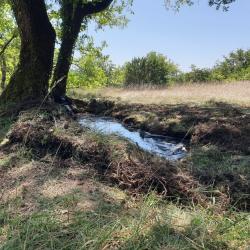 Plan de chasse chevreuils approche/affût Charente 16
