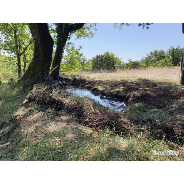 Plan de chasse chevreuils approche/afft Charente 16