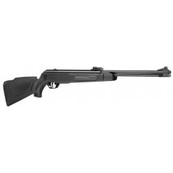 Carabine Gamo Big Cat CFS synthétique 19.9 joules à canon fixe cal. 5,5 mm