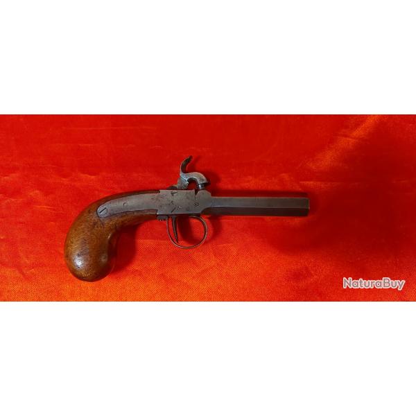 PISTOLER DE VOYAGE A CHIEN ENCHERE A 1 EURO