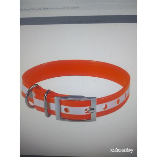 Collier pour chien phosphorescent 45cm