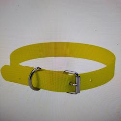 Collier chien 45cm renforcé