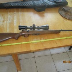 Carabine Savage 22lr