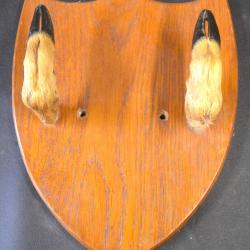 Porte manteau chevreuil idéal chasseur