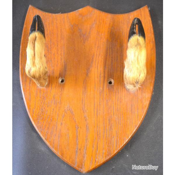 Porte manteau chevreuil idal chasseur