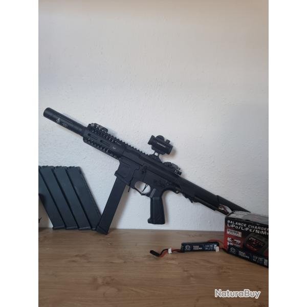 ARP 9 + accessoires (5 chargeurs, silencieux, housse, red dot, batteries....)