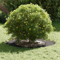 Anneau de Pot en Métal Noir 70 cm de diamètre