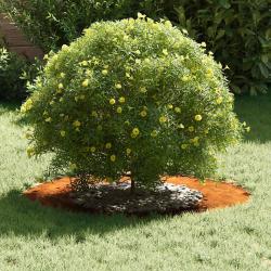 Planteur en acier corten Acier corten 70 cm de diamètre Durable