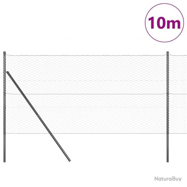 Clture hexagonale grise 1x10 m en acier