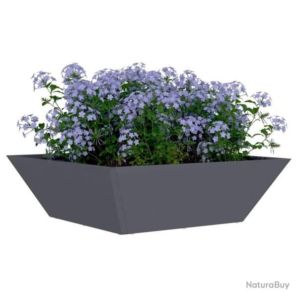 Jardinire en bol anthracite 50x50x15 cm en acier
