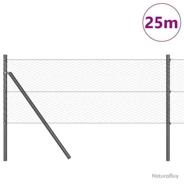 Clture Hexagonale Gris 0,6x25 m Acier