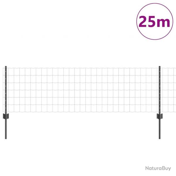 Clture Euro avec 11 poteaux U Gris 0,6x25 m Acier