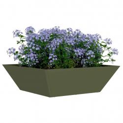 Jardinière en bol olive verte , 50x50x15 cm en acier.