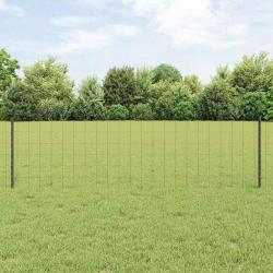 Clôture Euro avec 5 poteaux gris 0.6x10 m en acier